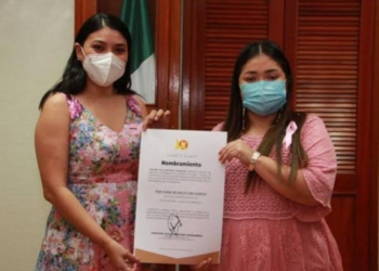 Zofemat en Othón P. Blanco, “se cruzó las manos” frente a la devastación de árboles en el Bulevar Bahía