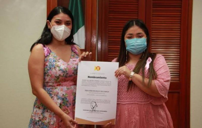 Zofemat en Othón P. Blanco, “se cruzó las manos” frente a la devastación de árboles en el Bulevar Bahía