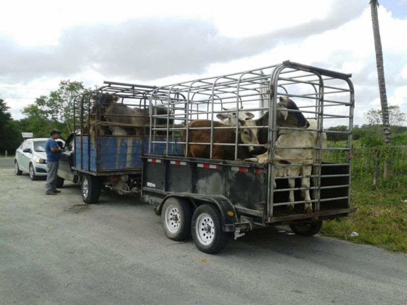 Aumento de combustibles golpea al sector agropecuario