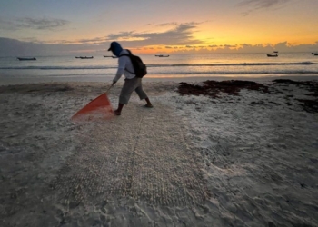 Mantener las playas de Tulum limpias y libres de sargazo
