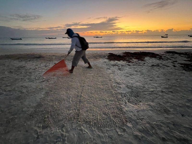 Mantener las playas de Tulum limpias y libres de sargazo
