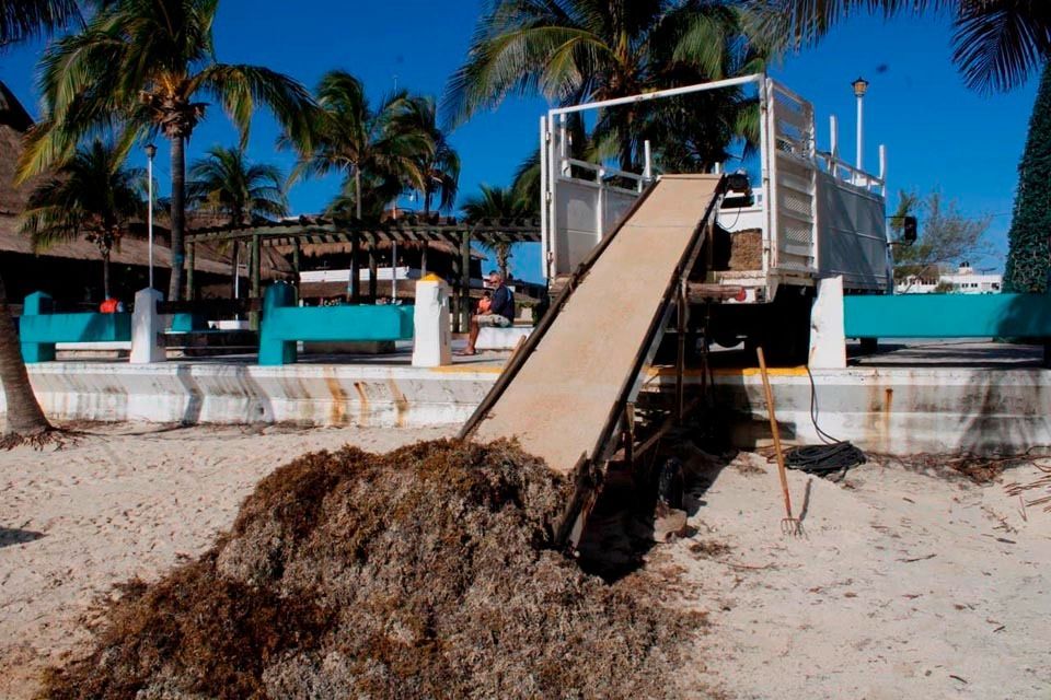 Ayuntamiento de Puerto Morelos alista plan coordinado con gobiernos de Q.Roo y Federal para mitigar impacto del sargazo