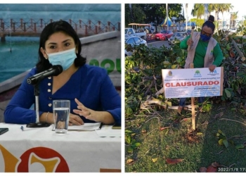 Vamos a solicitar información sobre la tala de árboles en el Bulevard de Chetumal: Cinthya Millán