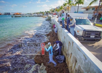 Recolectan de playas de Cozumel 32 toneladas de sargazo en las tres primeras semanas de enero