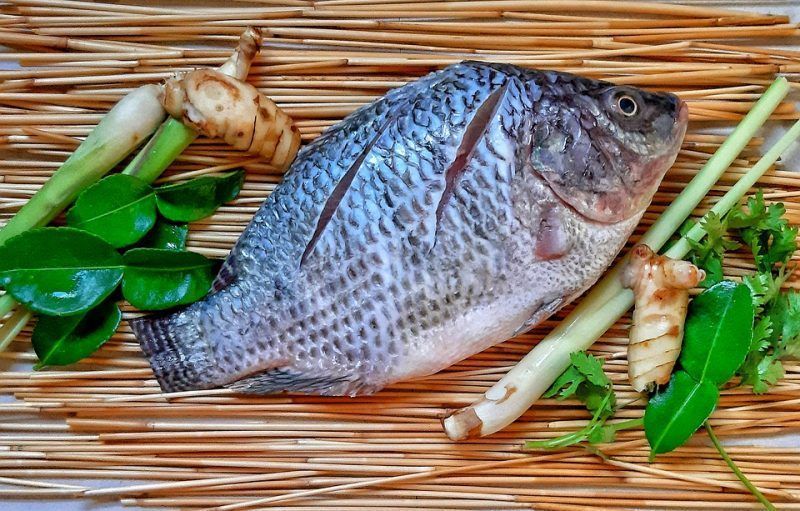 Incluye tilapia en tu dieta y cumple tu propósito de una alimentación balanceada