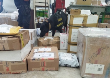 La unidad canina de Solidaridad ya aseguró 32 kilos de narcóticos en lo que va de este mes