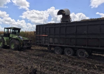Lluvias retrasan cosecha de caña, pero aumentan el azúcar
