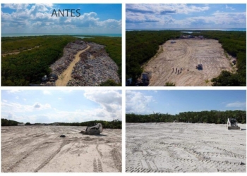 Concluye Semarnat que Nivardo Mena no es ecocida