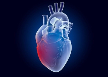 Cuida tu corazón a cada latido