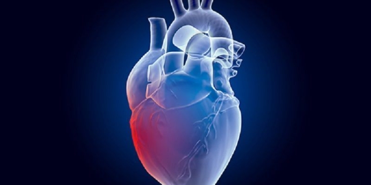 Pain in Heart concept. Ghost light effect, x-ray hologram. 3D rendering on dark blue background