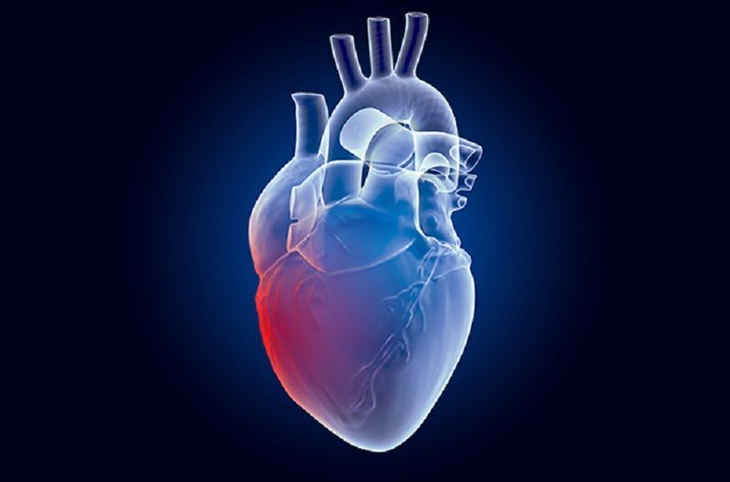Cuida tu corazón a cada latido