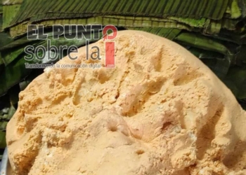 La covid-19 afecta la producción de tamales en Cancún: antes de la pandemia hasta 800 y hoy 300