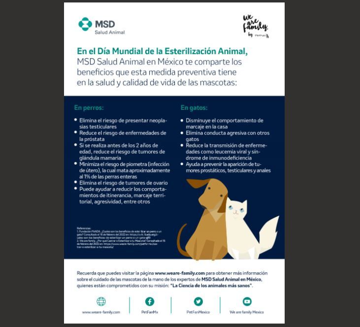 Conoce los beneficios de esterilizar a tu mascota