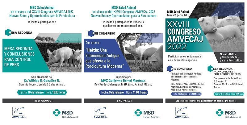 Se reúnen expertos en el XXVIII Congreso AMVECAJ 2022
