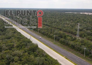Prioritario en el nuevo trazo del Tren Maya establecer pasos de fauna bien estudiados