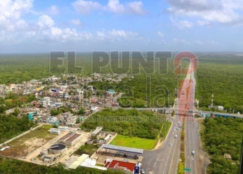 Más de ocho mil ambientalistas firman una petición contra el nuevo trazo del Tren Maya