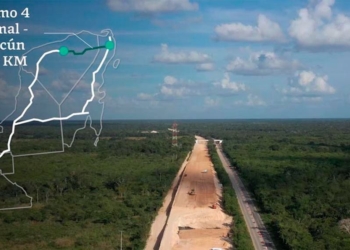 Exigen al Fonatur presentar el estudio de impacto ambiental del Tren Maya