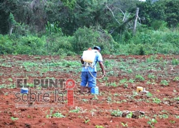 Líder de la CNC en Quintana Roo reprocha a AMLO abandono del campo; Peña Nieto destinó más presupuesto, dice