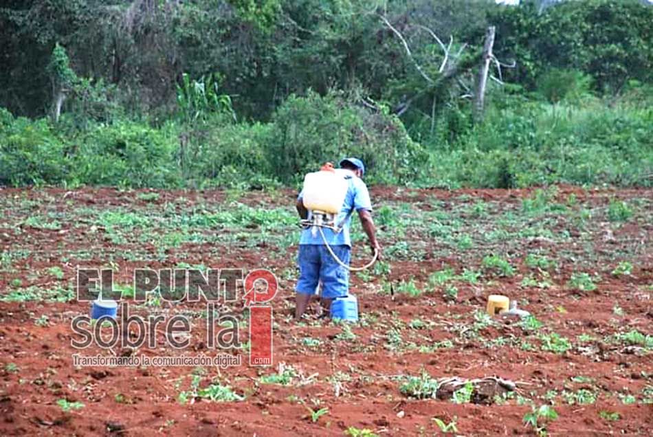 Líder de la CNC en Quintana Roo reprocha a AMLO abandono del campo; Peña Nieto destinó más presupuesto, dice
