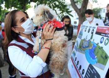 Preparan apertura en Cancún del primer parque canino en Quintana Roo