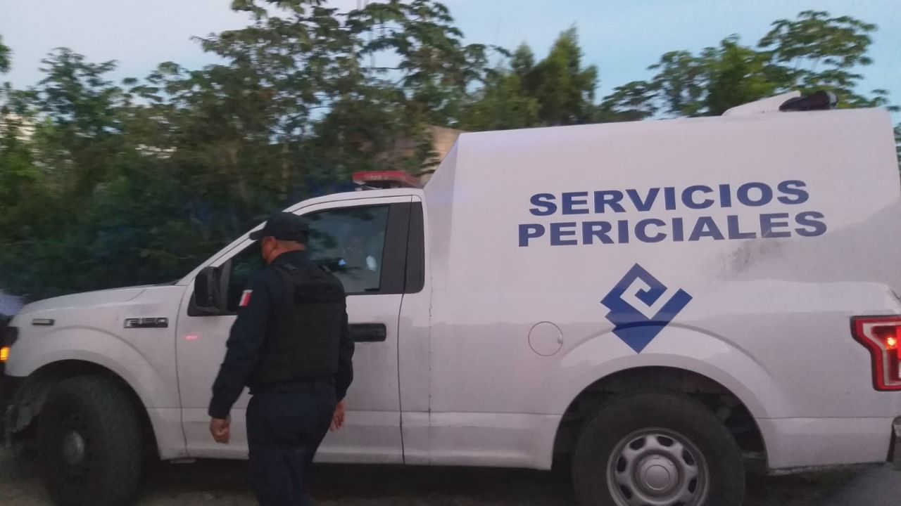 Investigan hallazgo de restos óseos en una casa en Cozumel