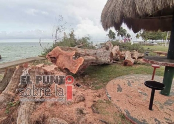 Ayuntamiento de Othón P, Blanco impone multa de 337 mil pesos a Gobierno de Quintana Roo