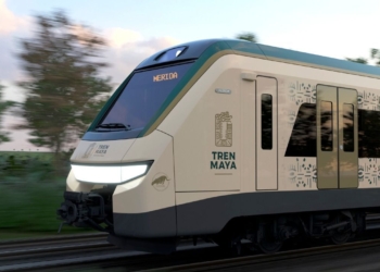 Prioritario en el nuevo trazo del Tren Maya establecer pasos de fauna bien estudiados