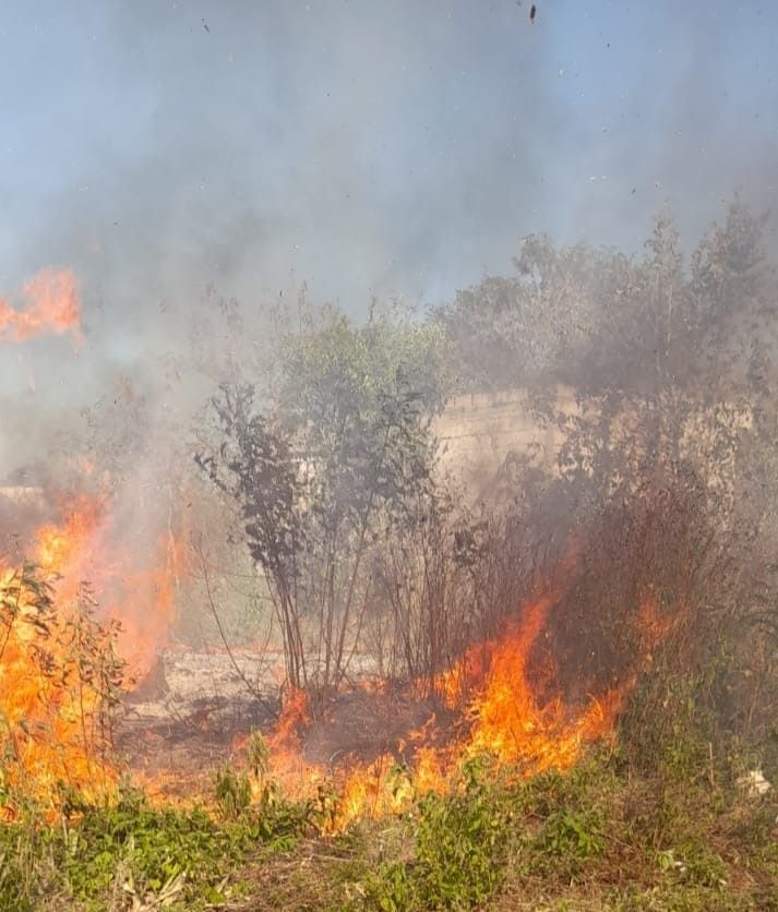 Incendios dan cuenta de los primeros efectos de la temporada de calor en Valladolid