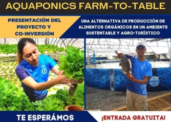 Resaltan a Acuaponia como opción sustentable alimentaria en Q.Roo