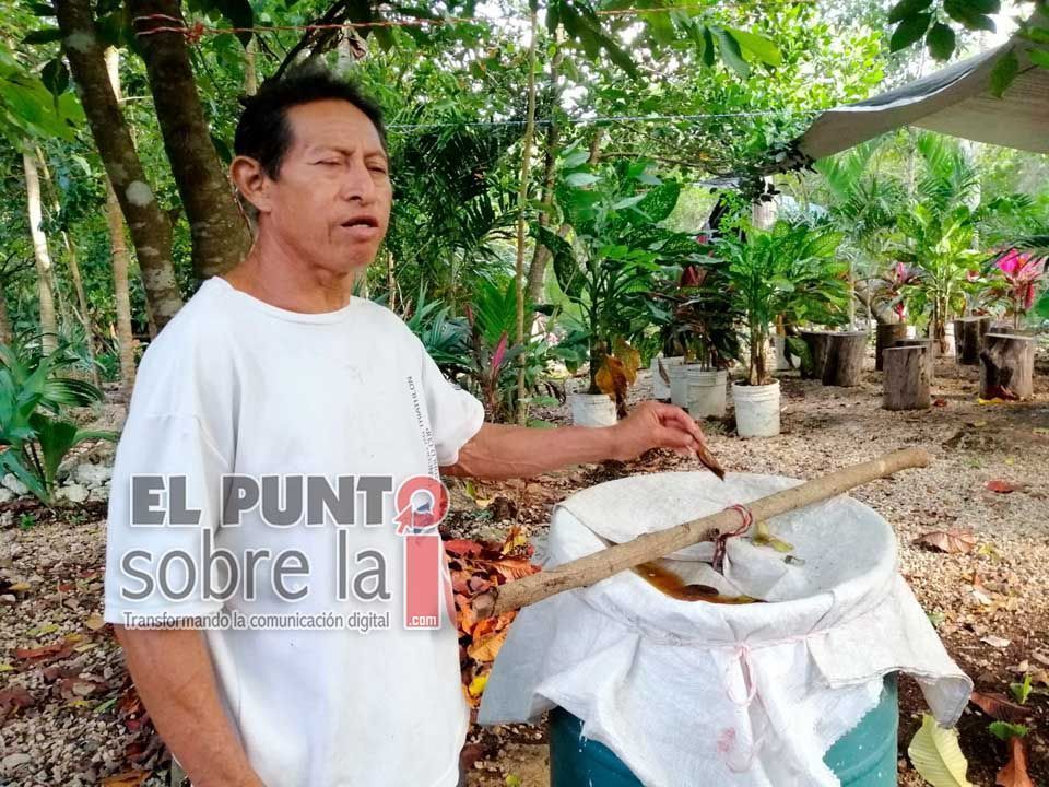 Funcionario de Lázaro Cárdenas prevé «boom» económico de 10 comunidades por el Tren Maya
