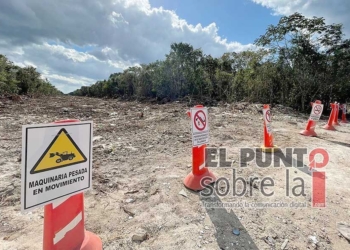 Grupos ambientalistas exigen detener las obras del Tren Maya