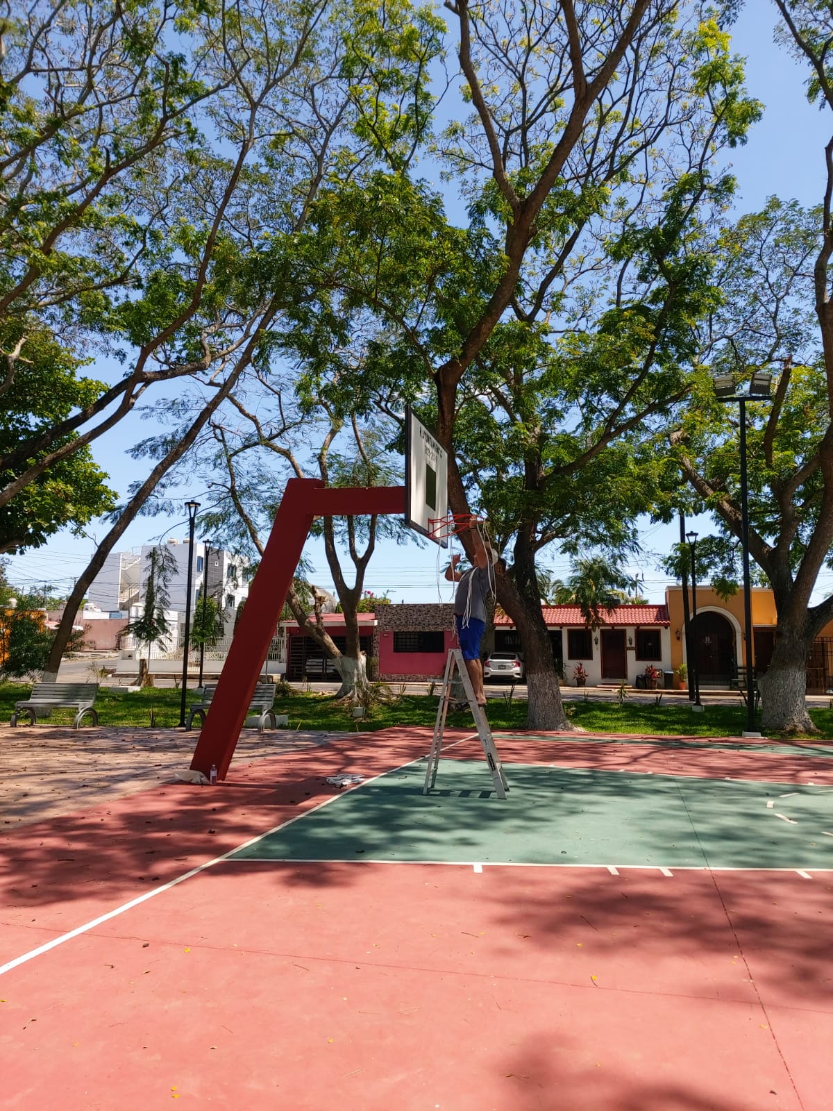 Maestro lo vuelve a hacer
