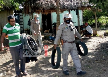 Intensifican acciones contra criaderos de moscos en Othón P. Blanco y Bacalar