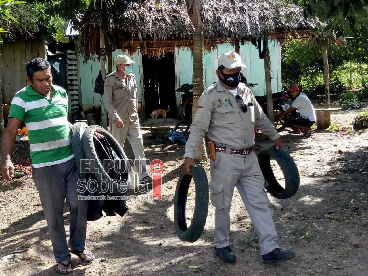 Intensifican acciones contra criaderos de moscos en Othón P. Blanco y Bacalar