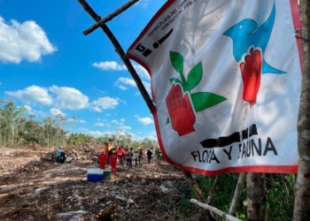 Grupo ambientalista de Cancún condena a la Semarnat por su mensaje de odio