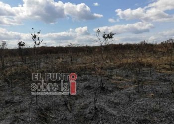 Avanza la atención de incendio forestal al suroeste de Bacalar