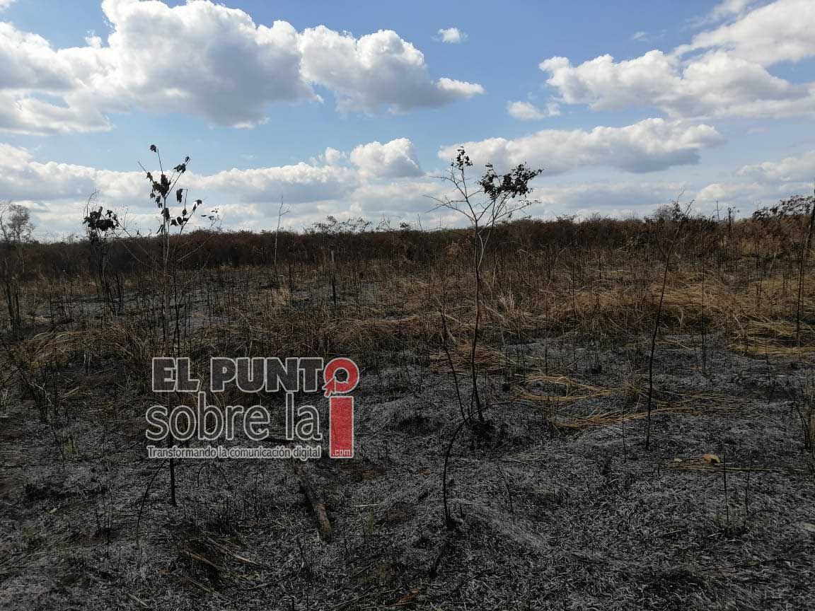 Avanza la atención de incendio forestal al suroeste de Bacalar