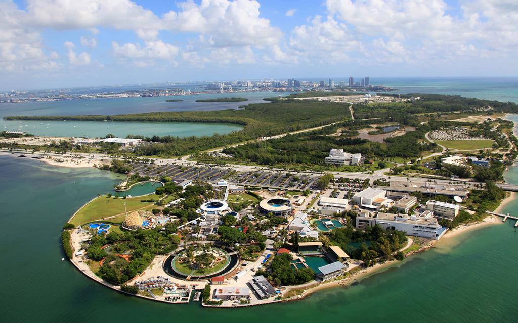 Consorcio quintanarroense recibe aval para operar acuario de Miami