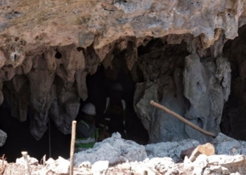 Aparece caverna “abeja enojada” en la selva de Quintana Roo donde se pretende construir el Tren Maya