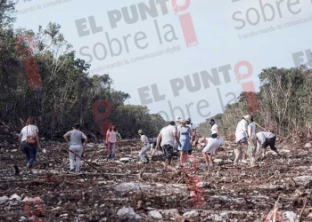 Interponen denuncias ante la Profepa por el daño ambiental causado por las obras del Tren Maya