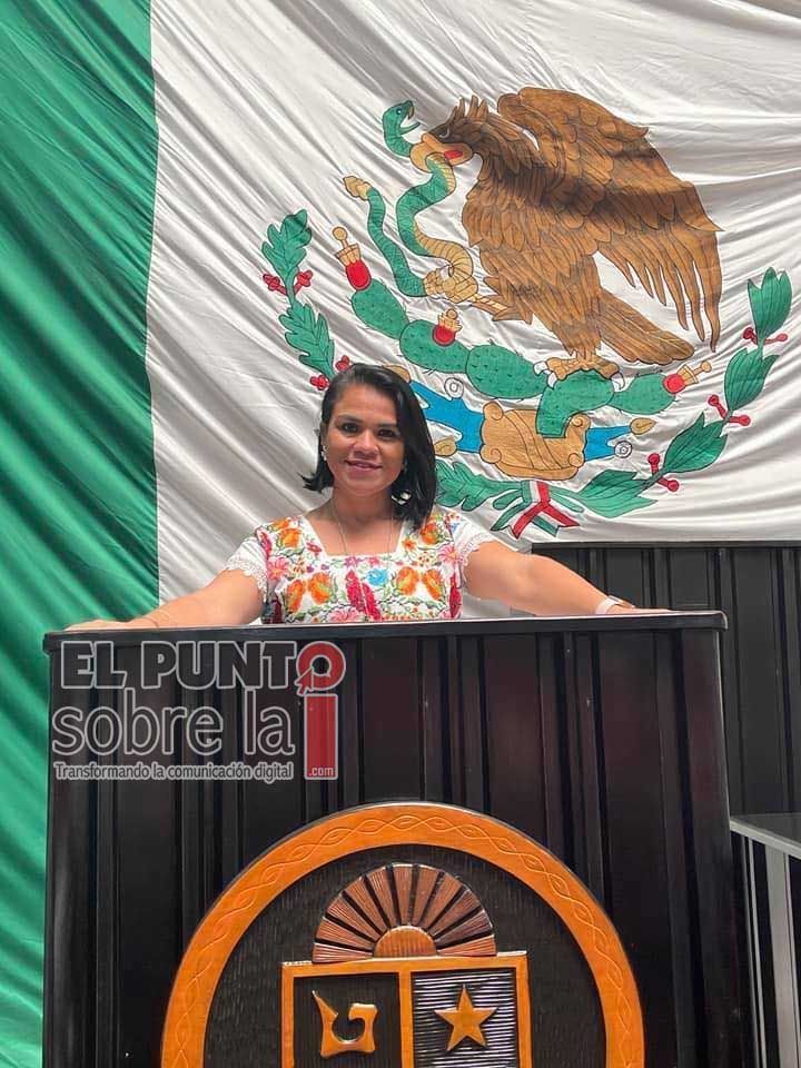 La diputada Reyna Durán buscará la reelección sin pedir licencia