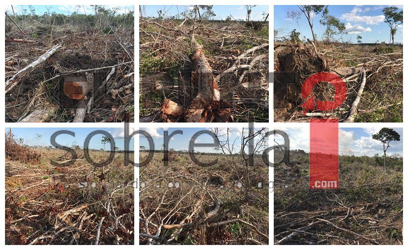 Ecocidio en Juan Sarabia, devastan 800 hectáreas