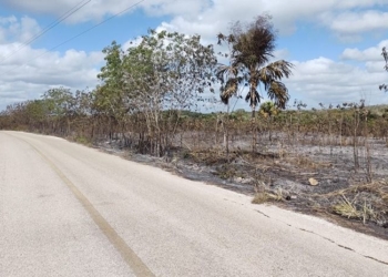 Los incendios comienzan afectar la biodiversidad de Quintana Roo