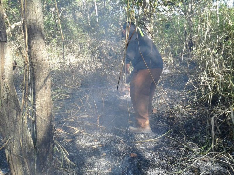 Atiende CNE incendio en Pucté