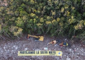 Inmovilizan activistas de Greenpeace maquinaria que se usa para construir el Tren Maya