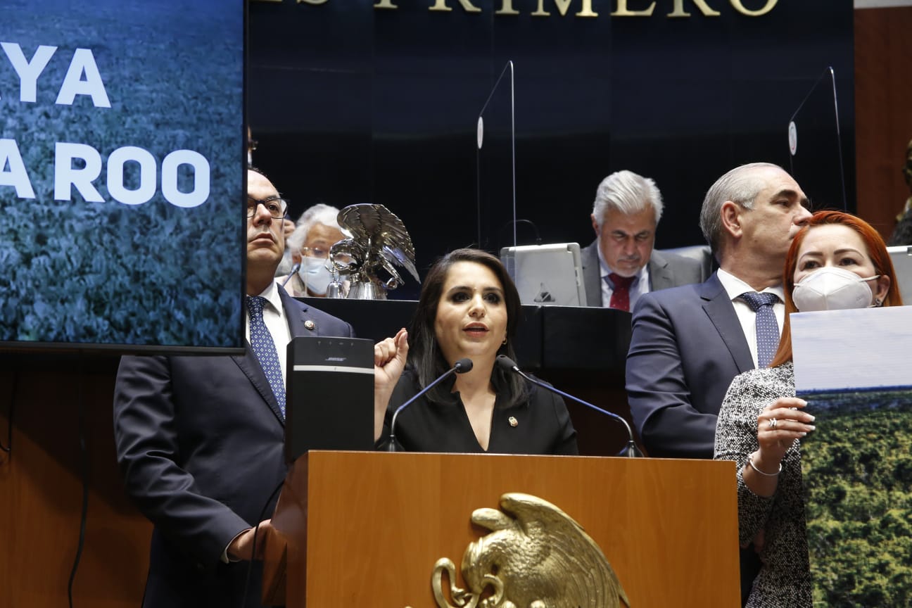 “Titulares de Fonatur, Semarnat y Profepa deben responder por el daño a nuestros recursos naturales” Mayuli Martínez