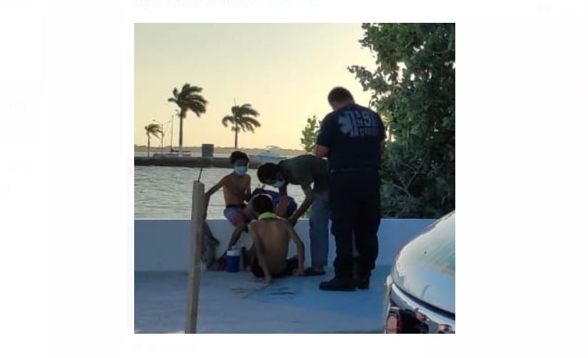 Cocodrilo ataca a menor en la bahía de Chetumal