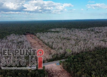 Ambientalistas advierten que el nuevo trazo del Tren Maya fragmentará la selva y dañará el acuífero