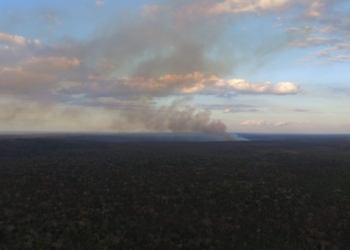 Combatientes del Grupo Estatal de Manejo de Fuego ingresan al primer incendio de la temporada 2022