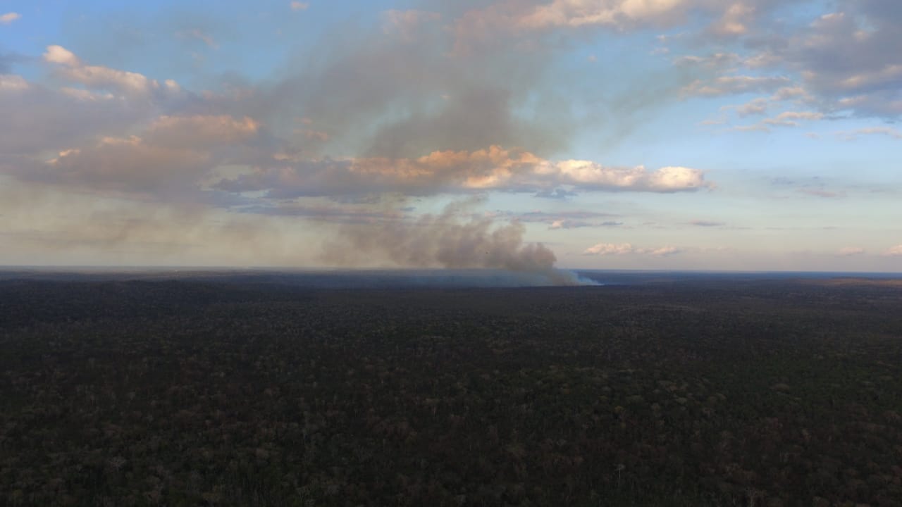 Combatientes del Grupo Estatal de Manejo de Fuego ingresan al primer incendio de la temporada 2022